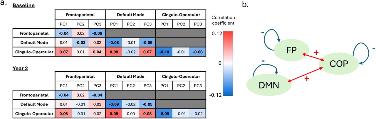 a. Correlation coefficients between the top three principal components and all possible combinations of connectivity between and within default mode, frontoparietal, and cingulo-opercular networks at baseline and at 2-year follow-up assessments. Bold font indicates that the coefficient is significant after controlling for false discovery rate. Both at baseline and at two-year follow-up assessments, PC 1 was positively and significantly associated with functional connections between the frontoparietal and cingulo-opercular networks, and between cingulo-opercular and default mode networks, and negatively associated with within-network connections in the frontoparietal, default mode, and cingulo-opercular networks. PC 2 was associated with connectivity between frontoparietal and default mode networks at baseline but not at the two-year follow-up assessment. PC 3 shared similar patterns of associations as PC 1 at baseline, but the associations were less consistent longitudinally. Bonferroni-corrected p<.05. b. A schematic representation of the significant associations found between the PCs and the functional connections tested.