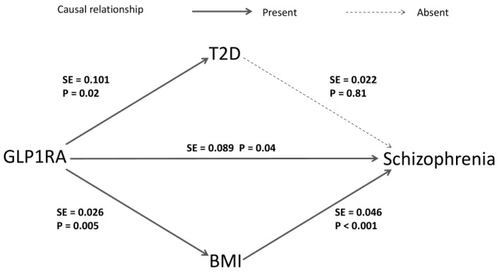 The mediation analysis of GLP1RA on SZ risks. The arrows indicate the causal direction from cause to effect, with solid lines representing the presence of a causal relationship and dashed lines indicating the absence of one. The p and SE values are derived from the estimates of the IVW method in the corresponding MR analysis. The delta method uses the SE values to generate the standard error in the coefficient product test.