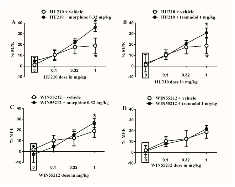 Effects of intraperitoneal injections of different drug combinations on CFA-induced mechanical allodynia. (A) Effects of intraperitoneal injections of HU210 (0.1, 0.32 and 1 mg/kg) plus the subtherapeutic dose of morphine (0.32 mg/kg) on CFA-induced changes in % MPE. Two-way ANOVA revealed the following results: Significant main effect of drug dose (F(3,48) = 9.492; p < 0.0001), main effect of combination (F(1,48) = 3.104; p = 0.0845), and main combination X drug dose interaction (F(3,48) = 1.186; p = 0.325), (B) Effects of intraperitoneal injections of HU210 (0.1, 0.32 and 1 mg/kg) plus the subtherapeutic dose of tramadol (1 mg/kg) on CFA-induced changes in % MPE. Two-way ANOVA revealed the following results: Significant main effect of drug dose (F(3,48) = 7.434; p = 0.0003), main effect of combination (F(1,48) = 1.105; p = 0.2984), and main combination X drug dose interaction (F(3,48) = 0.06326; p = 0.5775), (C) Effects of intraperitoneal injections of WIN55212 (0.1, 0.32 and 1 mg/kg) plus the subtherapeutic dose of morphine (0.32 mg/kg) on CFA-induced changes in % MPE. Two-way ANOVA revealed the following results: Significant main effect of drug dose (F(3,48) = 6.288; p = 0.0011), main effect of combination (F(1,48) = 3.2; p = 0.9955), and main combination X drug dose interaction (F(3,48) = 0.06806; p = 0.5682), (D) Effects of intraperitoneal injections of WIN55212 (0.1, 0.32 and 1 mg/kg) plus the subtherapeutic dose of tramadol (1 mg/kg) on CFA-induced changes in % MPE. Two-way ANOVA revealed the following results: Significant main effect of drug dose (F(3,48) = 4.764; p = 0.0055), main effect of combination (F(1,48) = 0.006004; p = 0.9396), and main combination X drug dose interaction (F(3,48) = 0.1010; p = 0.9591). Two-way ANOVA test was used to analyze data followed by Holm–Sidak post-hoc test. * indicates a difference that is significant compared with day 0 within the same rat group. Data represent mean ± SEM of 8 rats. % MPE = (PWT after drug application − PWT before drug application)/(PWT before manipulation [CFA] − PWT before drug application) × 100. PWT indicates paw withdrawal threshold in grams. Rectangular boxes indicate vehicle treatment.