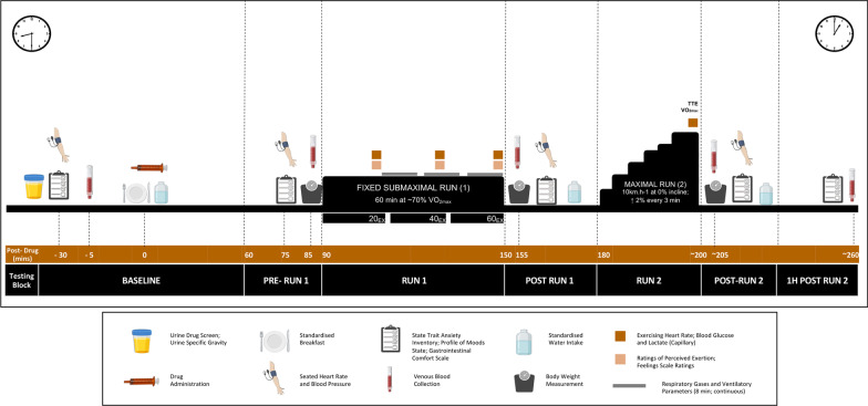 A schematic representation of experimental sessions. TTE: time to exhaustion; VO2max: aerobic capacity