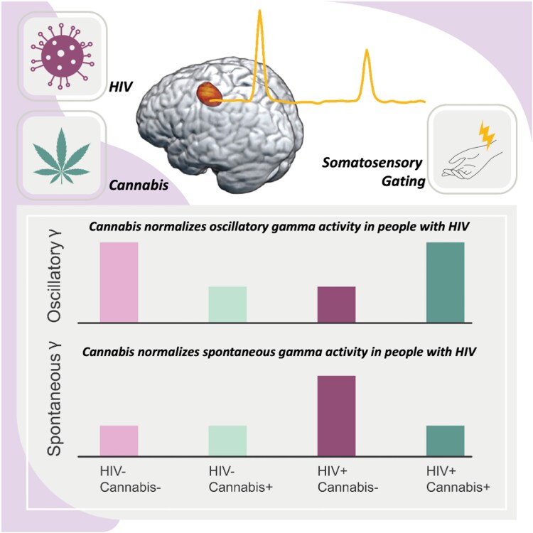 Graphical Abstract
