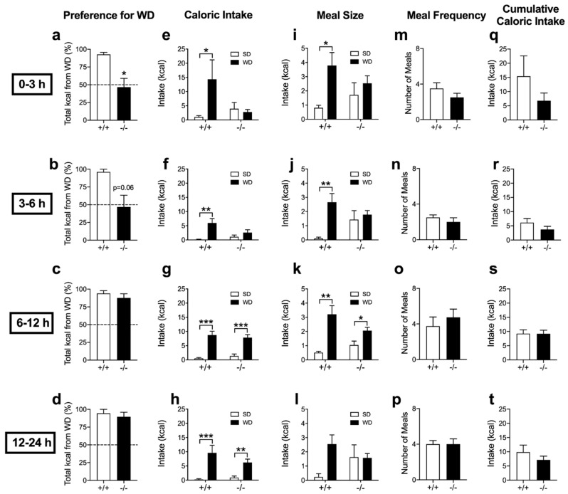 Acute preferences for western diet are absent in conditional intestinal epithelium-specific CB1R-deficient mice. +/+ = IntCB1+/+ control mice; −/− = IntCB1−/− mice; SD = standard rodent chow; WD = western diet. Unpaired Student’s t-test, two-tailed (a–d,m–t); Two-way ANOVA with Holm-Sidak’s multiple comparison tests (e–l); * p < 0.05, ** p < 0.01, *** p < 0.001. Results are expressed as means ± S.E.M; n = 4–8 per condition.