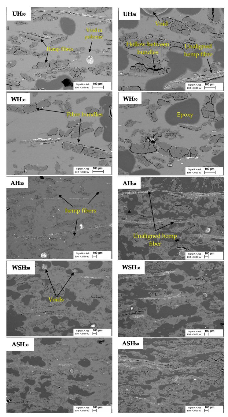 The cross-sectional images of reinforced PLA composites (UH, WH, AH, WSH and ASH) at 30 and 50% hemp fiber loading.