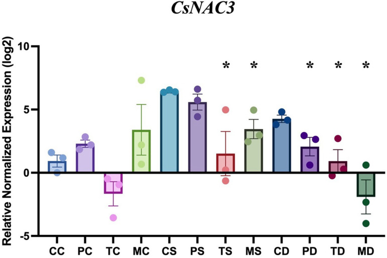 Impact of endophytic fungi on the expression patterns CsNAC3 in hemp under non-stress, salinity and drought stress conditions.The first letter; C = control, no fungus, P = with Pochonia chlamydosporia, T = with Trichoderma harzianum, M = with Metarhizium robertsii. The second letter; C = control, non-stress, S = salt stress, D = drought stress. Error bars represent standard error of the means. Data were analyzed with standard t-test in Bio-Rad CFX Manager software. Statistical differences are shown; *P < 0.05. Asterisk indicates significant differences in the tested group when compared to that of the un-inoculated control under the same conditions. The dots represent results of the individual biological replicates. Error bars represent standard error of the means.