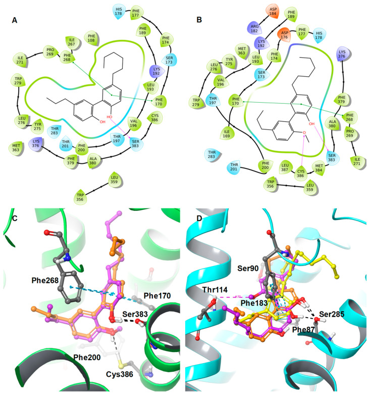 2D interaction diagrams of (A) 6 and (B) 6a, along with the 3D overlaid representations of (C) 6 (carbon in orange) with 6a (carbon in plum) against the CB1R and (D) 6 (carbon in orange) with 6a (carbon in plum) and 6b (carbon in yellow) against the CB2R. The key residues are shown in the ball and stick model (carbon in grey).