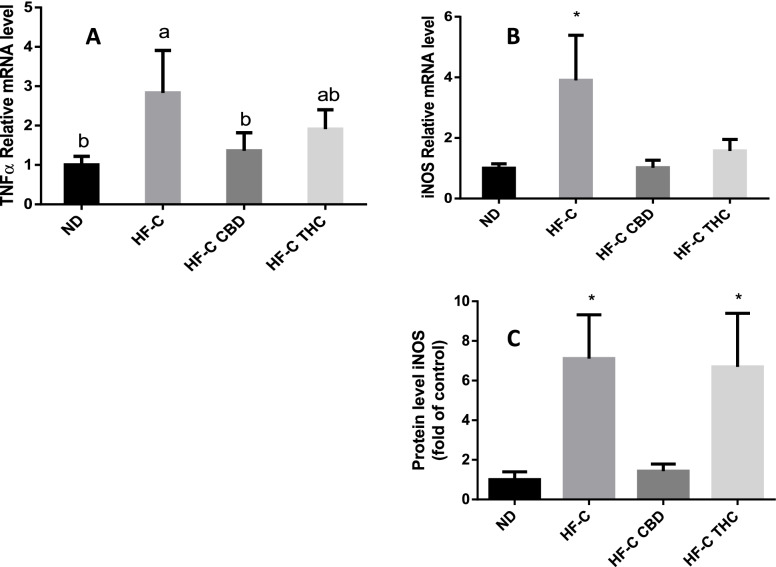 Effect of THC or CBD treatment on inflammatory gene expression in liver of mice fed HFCD. Male C57BL/6J mice aged 7–8 weeks were fed either normal diet (ND, n = 8), high fat + 1%(w/w) cholesterol + 0.5%(w/w) cholate diet (HF-C, n = 8), HFCD containing CBD (2.39 mg/kg) (HF-C CBD, n = 8), HFCD containing THC (2.5 mg/kg) (HF-C THC, n = 8). At the conclusion of the experiment, RNA was isolated from harvested livers and gene levels quantified using qPCR. Values are expressed as relative expression compared to ND (mean ± SEM). Values marked with different letters are significantly different (p < 0.05) in the Tukey–Kramer test. iNOS, inducible nitric oxide synthase; TNFa, tumor necrosis factor alpha