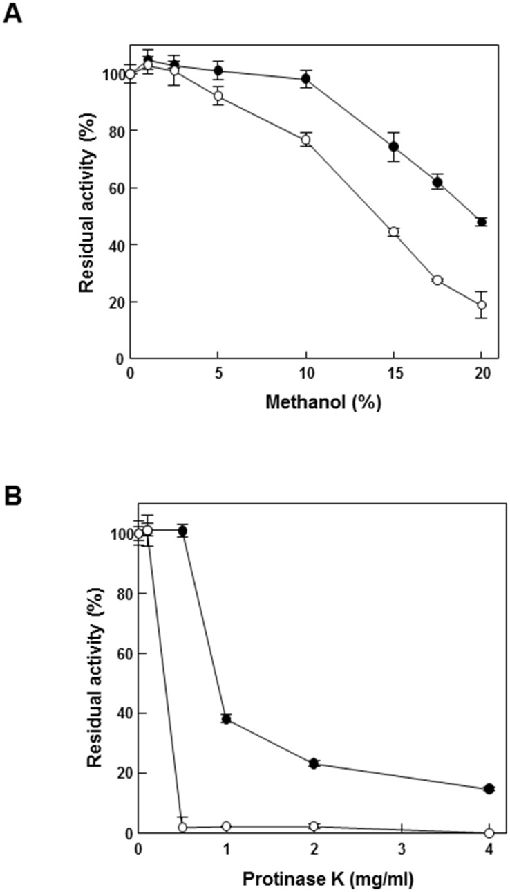 Tolerance test against methanol and protease K.(A) Effect of various concentrations of methanol on the activity of GusA (open circles) and GusA-CBD (closed circles). (B) Protease K accessibility on the activity of GusA (open circles) and GusA-CBD (closed circles). Data represent the means of three experiments and error bars represent standard deviation. The relative activities of 100% gusA and gusA-CBD were 102 ± 4.3 and 19 ± 0.6 U mg–1, respectively.