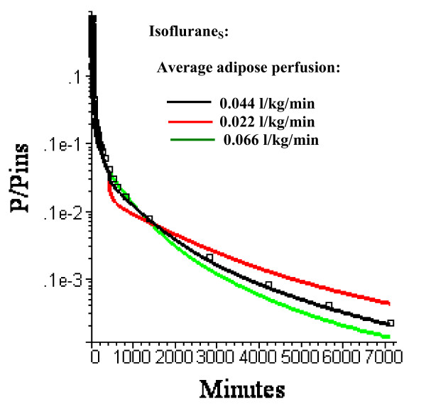 Semi log plots of the long time washout data (squares) versus the PBPK model with three equal volume adipose compartments (N = 3) with average adipose perfusion rates of 0.022 (red), 0.044 (black, the optimal value) or 0.066 l/kg/min. The relative perfusion rates among the 3 compartments are fixed at the optimal values.