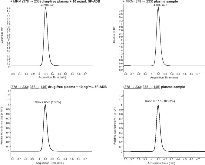 Confirmation of 5F-ADB (5F-MDMB-PINACA) via LC-ESI-MS/MS analysis (using the standard LC gradient) of plasma sample. MRM transitions and ratios of 5F-ADB (5F-MDMB-PINACA) of a drug-free plasma sample, spiked with 5F-ADB, and the plasma sample. For explanation: the respective sample can be found in the columns, the upper row shows the first MRM transition and the lower row the second MRM transition as well as the ion ratios