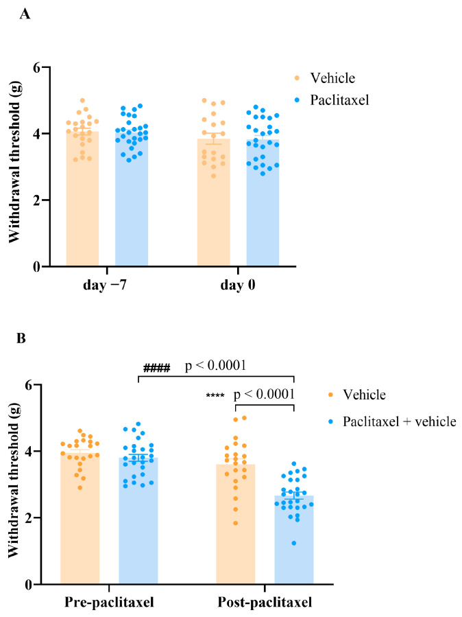 The development of paclitaxel-induced mechanical allodynia at day 7 after first injection of paclitaxel. (A) Withdrawal threshold to mechanical stimulus were measured in vehicle- and paclitaxel-treated female BALB/c mice at day −7 and day 0 before first paclitaxel injection. (B) Withdrawal thresholds to mechanical stimulus were measured pre-paclitaxel and post-paclitaxel (day 7 after first paclitaxel injection) in vehicle and paclitaxel groups. Each bar represents the mean ± S.E.M of values obtained from 22–27 animals per treatment group. **** p < 0.0001 as compared to paclitaxel group post-paclitaxel at the same time point and #### p < 0.0001 compared to paclitaxel group at baseline (pre-paclitaxel) (two-way ANOVA followed by Tuckey’s multiple comparison posttests).