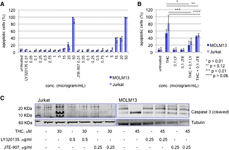 Proapoptotic effect of THC is mediated via CB1 and CB2. a The CB1 antagonist LY320135 and a selective CB2 inverse ligand agonist (JTE-907) were tested in dose-dependent dilution series. Dose-effect plots from an apoptosis annexin V-based flow cytometry assay are shown. b MOLM13 and Jurkat cells were pretreated with either antagonist (LY, LY320135; JTE, JTE-907) for 12 h and THC was administered for another 48 h (30 μM for Jurkat and 45 μM for MOLM13 cells). Induction of apoptosis was analyzed as described above. (*-****) statistical significance at p < 0.05 (Student’s t-test). c Western immunoblotting of cleaved caspase 3 in response to THC +/- preexposition to LY320135 or JTE-907 is shown.