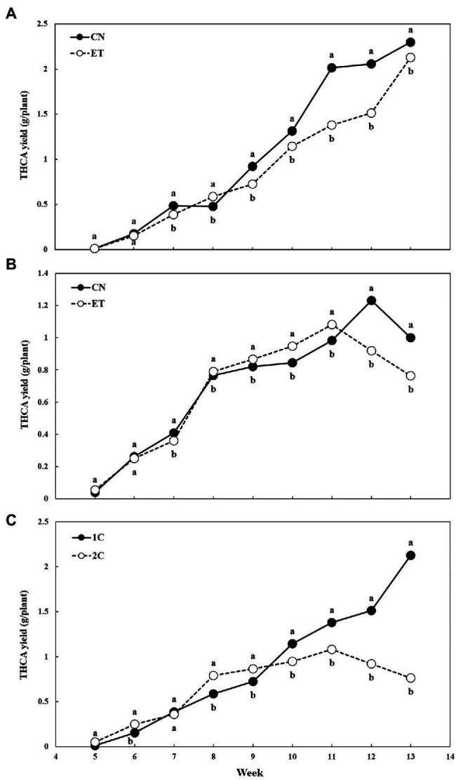 Tetrahydrocannabinolic acid (THCA) yield per plant as affected by amino acid (AA) supplementation and nutrient cycle. THCA yield per plant in control (CN) and enhanced treatment (ET) with AAs nutritional supplements in recirculation (1C) nutrient cycle (A), in drain-to-waste (2C) nutrient cycle (B), ETs in 1C and 2C (C). The whole inflorescence of the plant was analyzed. Data are means ± SE (n = 3). Different bold small letters represent significant differences in cannabinoid concentration between the variants in a particular week according to Tukey’s HSD test at α = 0.05.