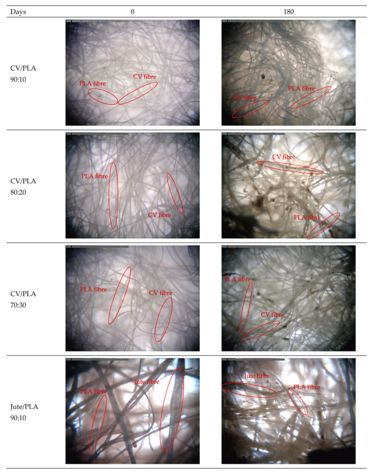 Microscopic images of unexposed nonwoven mulch blends and after 180 days of field exposure; magnification ×40.