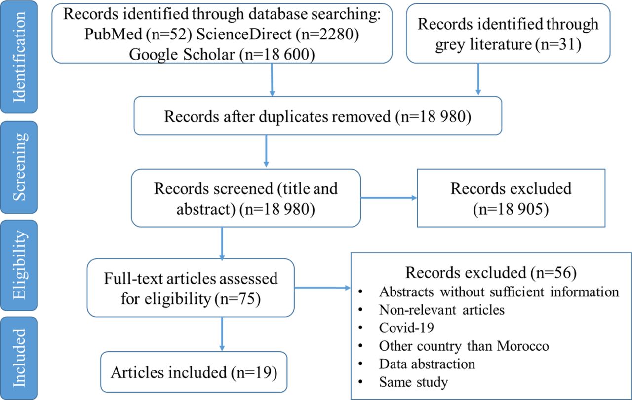 PRISMA flowchart for the study selection process