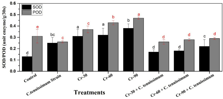 Bar chart comparing SOD and POD enzyme activity across various treatments. Black bars represent SOD and gray bars represent POD. Treatments include Control, *C. tenuissimum* Strain, Cr-30, Cr-60, Cr-90, and combinations with *C. tenuissimum*. Error bars and significance letters (a-e) are included for statistical comparison. Activity varies by treatment, with POD generally higher than SOD.