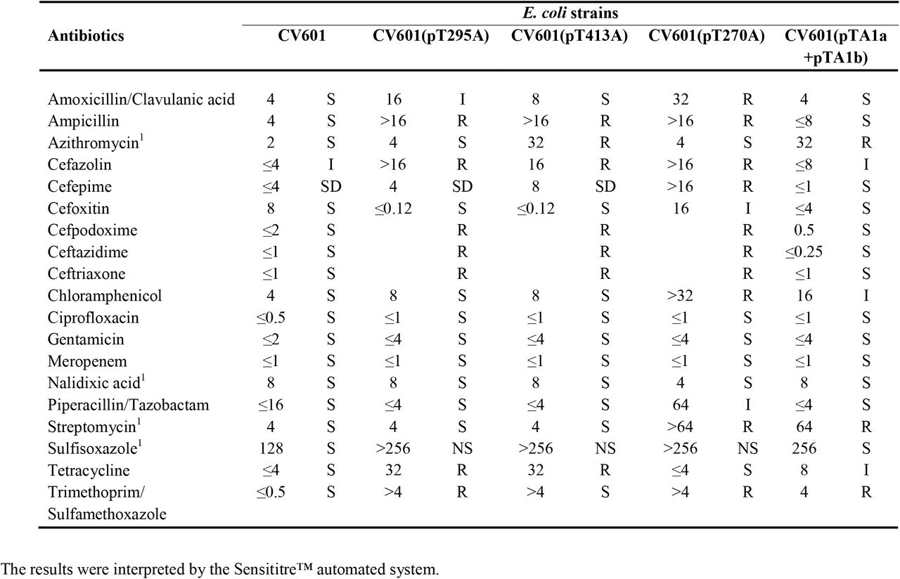 Minimum inhibitory concentrations and their interpretation of E. colistrains CV601, CV601(pT295A), CV601(pT413A), CV601(pT270A) and CV601(pTA1a + pTA1b)