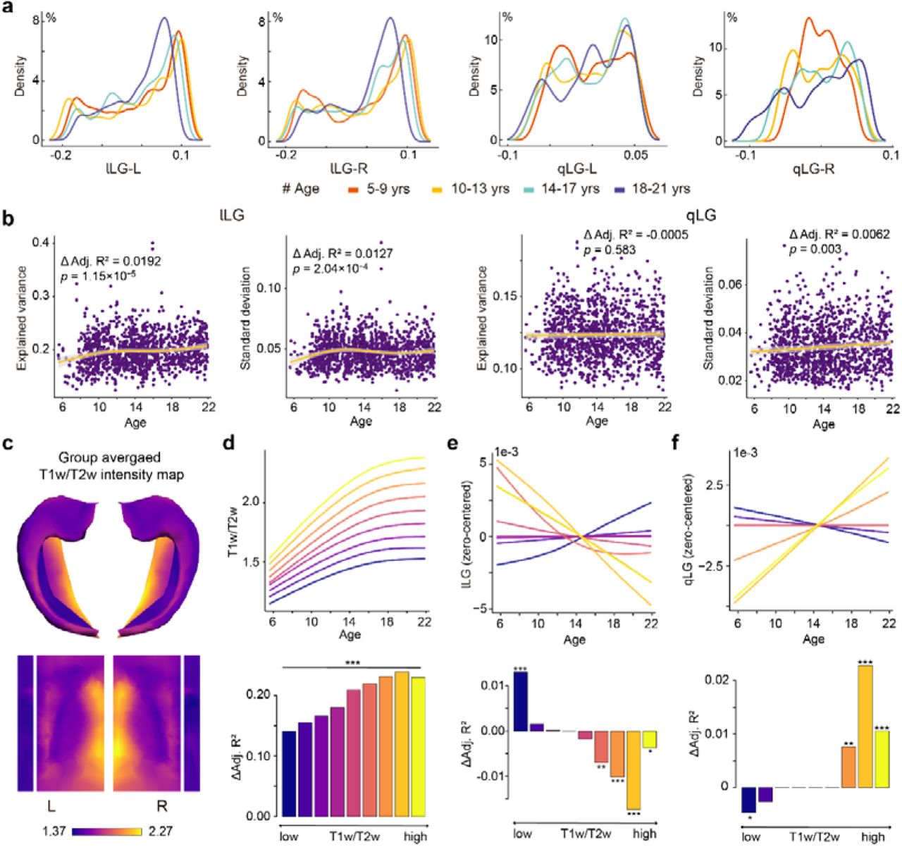 Development of dual long-axis dimensions of hippocampal gradient parallels myelin maturation.a, Density estimation of dual long-axis gradient values within four age-specific groups (5-9, 10-13, 14-17, 18-21 years). b, The developmental progression of the explained variance and standard deviation of dual long-axis gradients. c, Group-averaged T1w/T2w intensity map. d, Developmental trajectories and age effects (Δ Adjusted R2) of the average T1w/T2w intensity within each of the nine uniform bins along the group-averaged T1w/T2w intensity axis. Similarly, e and f depict the corresponding developmental patterns for lLG and qLG within the same nine bins, respectively. All the developmental trajectories in e or f are zero-centered to facilitate comparison between them. Note: * p<0.05, ** p<0.01, *** p<0.001, FDR corrected.