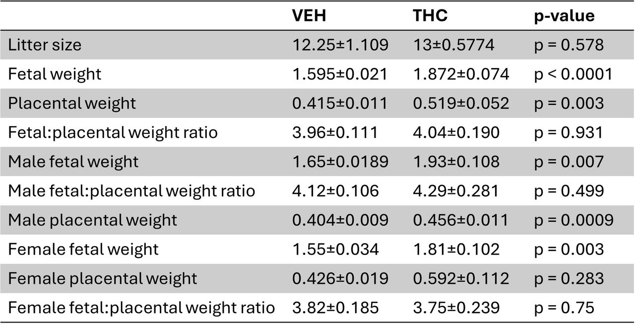 Fetal and placental outcome measurements. Litter size, fetal weight, placental weight, and fetal:placental weight ratios in VEH, THC, and male and female VEH and THC groups. n = 49 VEH (4 dams) and n = 39 THC (3 dams). For sexes, n = 23 male VEH, n = 26 female VEH, n = 21 male THC and n = 18 female THC. Values are mean ± SEM. P-values generated using Mann-Whitney U test.