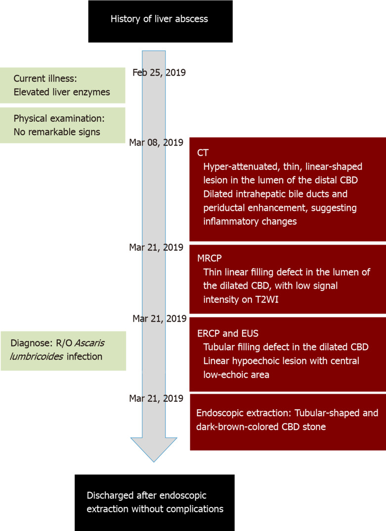 Timeline of the patient’s illness. CT: Computed tomography; CBD: Common bile duct; MRCP: Magnetic resonance cholangiopancreatography; ERCP: Endoscopic retrograde cholangiopancreatography; EUS: Endoscopic ultrasound.