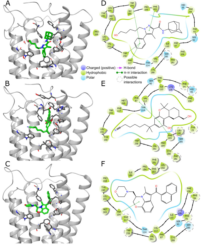 CB2–ligand complexes. (A–C) Binding sites with ligands (green) and amino acids (gray) important for ligand binding depicted in stick representation. PDB IDs 5ZTY, 6KPC, and 6PT0, respectively. (D–F) 2D interaction schemes generated using Schrödinger Maestro. Additionally, we marked with gray, dashed circles the amino acids that are too far away from the ligand to create protein–ligand interactions in deposited structures but probably do so alternately, for limited periods of time in natural, nonstatic complexes.