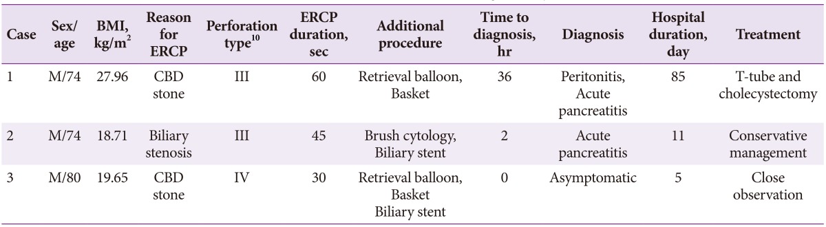Clinical Characteristics, Treatment, and Outcome Data of Patients with Perforation during Endoscopic Balloon Dilation
