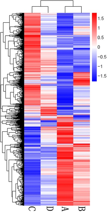 Hierarchical cluster analysis of gene expression in the spinal cords at different injured stages. Based on similarity of gene expression patterns, 7632 DEGs were classified into many expression cluster groups. The blue to red gradation represented gene expressions from down to up. a: sham control; b: 1 dpi; c: 6 dpi; d: 28 dpi