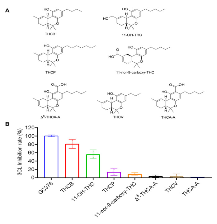 The chemical structures of the THC-type of cannabinoids (A) and their inhibitory effect on the activity of SARS-CoV-2 Mpro (B). These cannabinoids were tested at a concentration of 10 μM with the MBP-tagged SARS-CoV-2 Mpro inhibition assay. GC376 was used as the positive control and each test compound was assayed in triplicate.