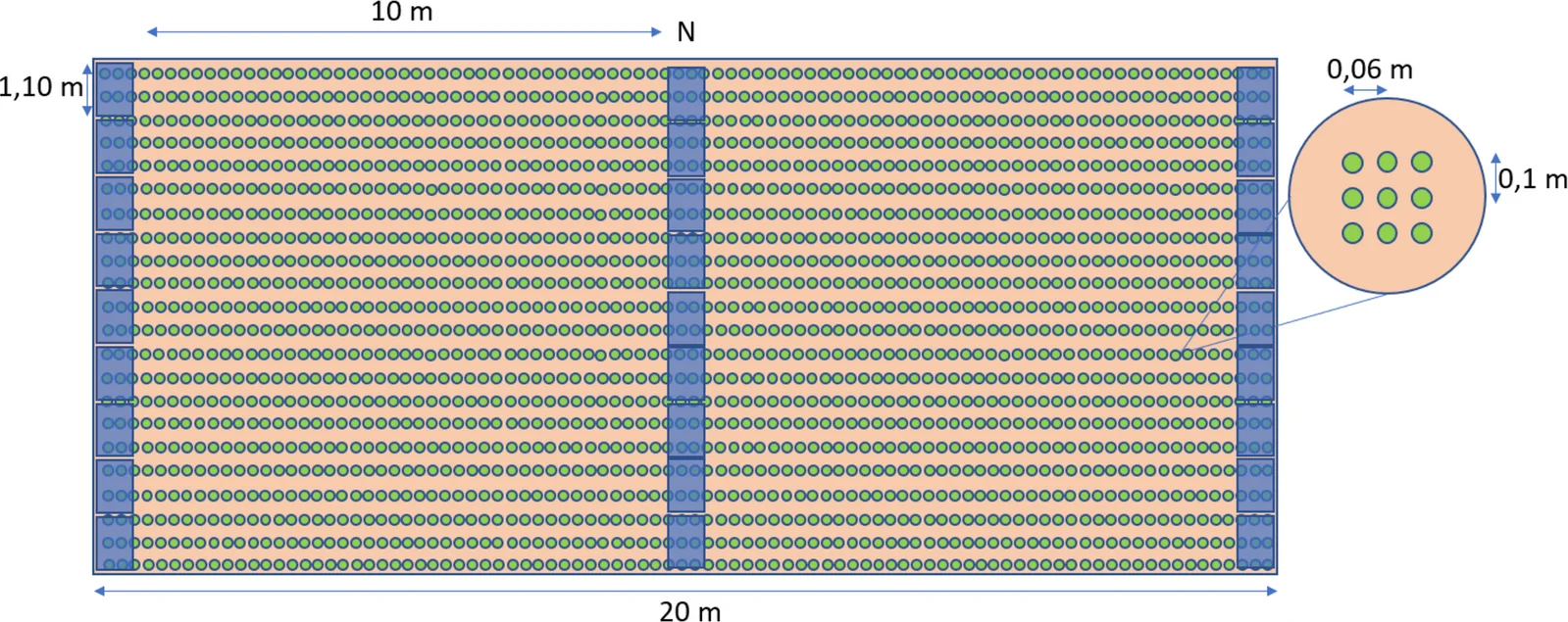 Layout of the proposed semi-transparent agrivoltaic system integrated with Cannabis sativa L. for the Augusta case study. The figure illustrates the spatial arrangement of the semi-transparent photovoltaic rows and the crop distribution within the simulated 1-hectare layout. The photovoltaic modules are arranged in north–south-oriented rows spaced 10 m apart to maximize light transmission while maintaining satisfactory biomass production and renewable electricity generation