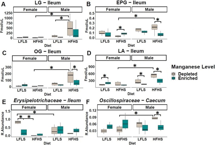 Manganese influences in a sex‐dependent manner intestinal 2‐monoacylglycerols (MAGs), and specific intestinal microbial families. (A–C) Boxplot of the MAGs in ileum, (D) long chain ω‐6 fatty acid (LA), (E, F) and microbial families in the ileum and caecum. Data are expressed as the mean ± SEM (n = 48). p values of linear contrast analysis are marked with a star “*” when significant (p < 0.05) using contrast test between enriched and depleted Mn levels, LFLS and HFHS formulations, the combination between Mn levels and formulations, and the sex of the animal. The samples analyzed and showed are at Day 28 of the study.
