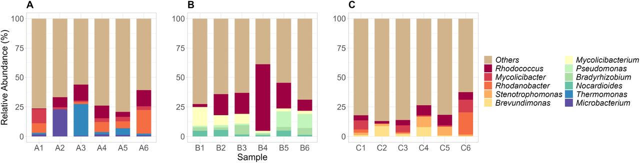 Relative abundance of the top genera from Hospital A (A), Hospital B (B), and Hospital C (C). Genera not part of the top were grouped as “Others.”