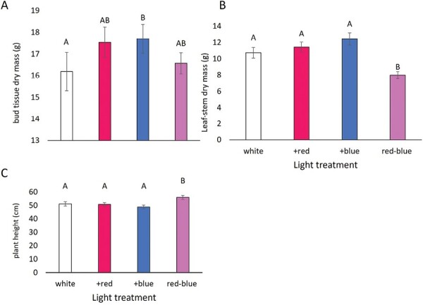 Light quality impacted the mean dry mass (g) of bud tissue (A), the mean dry mass (g) of leaf-stem tissue (B) and the mean height (cm) of hemp plants (C). Letters represent statistical significance between treatment groups, and those that do not have overlapping letters are different.
