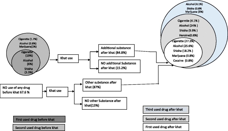 Suggested that the local model of problematic substance use could be 1) khat use; 2) cigarette use; 3) harmful drinking; 4). Marijuana use and other hard drugs