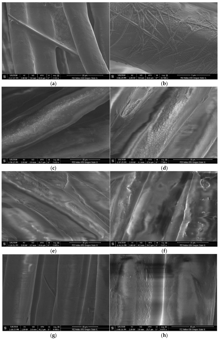 SEM images of freshly pigmented oils on spun polyester, taken with Helios 650 SEM HV = 200. (a) Fresh pigmented hemp seed oil; (b) 60-day pigmented hemp seed oil; (c) Fresh pigmented flaxseed oil; (d) 60-day pigmented flaxseed oil; (e) Fresh pigmented linseed oil; (f) 60-day pigmented linseed oil; (g) Fresh pigmented MCT oil; (h) 60-day pigmented MCT oil.