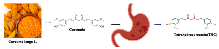 Source of tetrahydrocurcumin.
