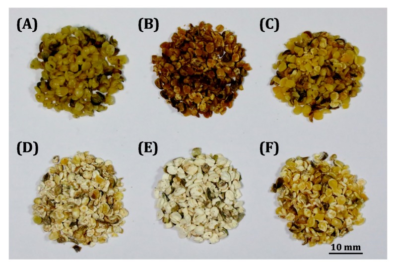 Images of (A) crude hemp nut and hemp nut after (B) MAE, (C) HRE, (D) SE, (E) SFE, and (F) UAE.