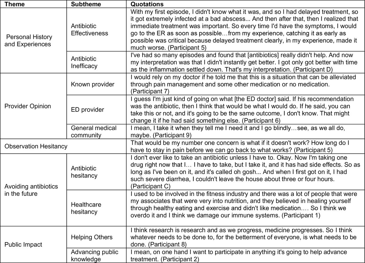 Summary of themes and representative quotes.