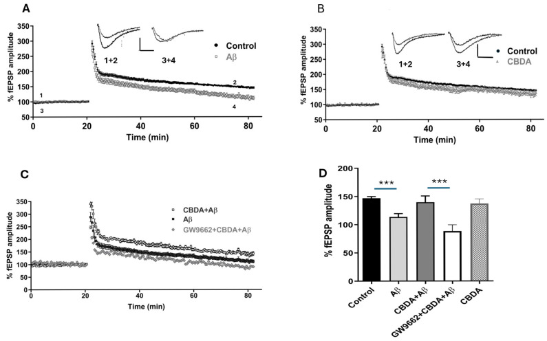 CBDA restores Aβ-induced LTP impairment. Graphs and bar charts showing the level of LTP under different conditions. (A) LTP recorded in the presence of Aβ (113.6 ± 5.9, n = 20) was significantly reduced compared to the control (146.9 ± 2.9, n = 62) (*** denotes p < 0.001). Scale bar: 0.5 mV/10 ms. (B) The magnitude of LTP in the presence of CBDA (10 μM; 137.3 ± 8.2, n = 8) was similar to that of the control (146.9 ± 2.9, n = 62). (C) LTP graph showing that LTP recorded in CBDA+Aβ was similar to that of the control. The effect of CBDA on Aβ-mediated LTP was significantly reversed by the PPARγ antagonist GW9662 (control: 146.9 ± 2.9, n = 62; Aβ: 113.6 ± 5.9, n = 20; CBDA+ Aβ: 139.6 ± 11.2, n = 8; GW9662: 88.41 ± 11.2, n = 6; p < 0.001. (D) Bar chart showing LTP levels recorded in all conditions. Data set analysed using one-way ANOVA Bonferroni multiple-comparisons test, bars represent SEM.