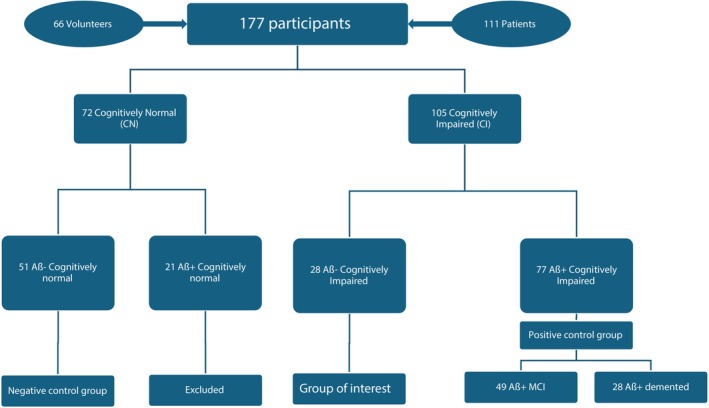 Distribution of the participants in the different bioclinical categorical groups.