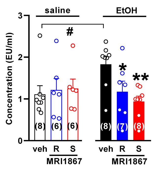 The iNOS inhibitor R-MRI-1867 decreases serum endotoxin level in acutely alcohol-intoxicated mice. Mice received S-MRI-1867 10 mg/kg (S) or R-MRI-1867 10 mg/kg (R) or vehicle (veh) by oral gavage (time 0), followed by intragastric administration of 6 g/kg ethanol (30% w/v; EtOH) or saline at 30 min. Endotoxin was measured in the serum obtained from the portal vein 1 h after the acute alcohol challenge. Results are expressed as mean ± s.e.m. * p < 0.05, ** p < 0.01, compared with vehicle in alcohol-treated group (one-way ANOVA followed by Dunnett’s post hoc test), # p < 0.05, compared with saline-treated mice.