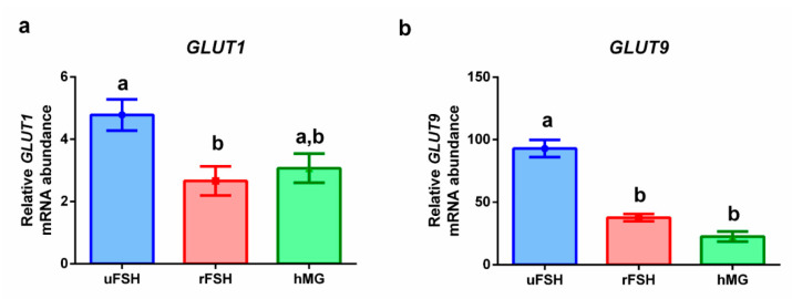 Gene expression profiles: (a) GLUT1: glucose transporter 1 (SLC2A1: solute carrier family 2 member 1); (b) GLUT9: glucose transporter 9 (SLC2A9: solute carrier family 2 member 9). Results are reported as mean ± standard deviation. Statistical significance was set at p < 0.05 and calculated by ANOVA followed by Tukey’s multiple comparisons test. Different letters above columns indicate statistical differences among groups.