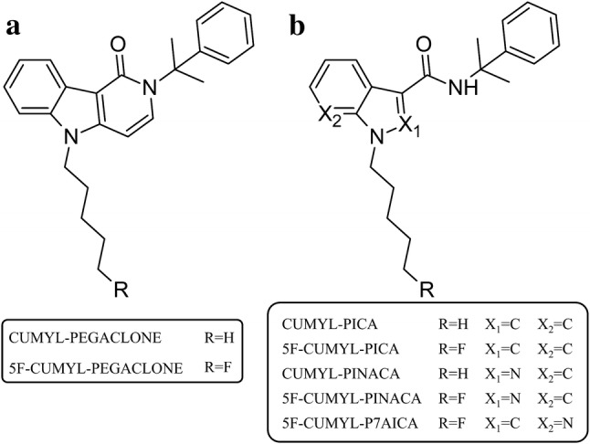 Structures of aγ-carbolinone derived cumyl synthetic cannabinoids (SCs), and b indole, indazole or azaindole derived cumyl carboxamide type SCs
