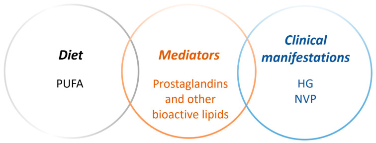The aim of this review was to investigate links in the literature between dietary polyunsaturated fatty acids (PUFAs) and hyperemesis gravidarum (HG), as well as nausea and vomiting of pregnancy (NVP), with focus on bioactive lipid mediators in metabolic pathways of different PUFA precursors.