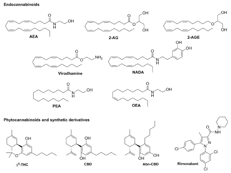 Structure of endocannabinoids: AEA, 2-AG, 2-AGE, virodhamine, NADA, PEA and OEA; phytocannabinoids THC and CBD; and synthetic cannabinoids Abn-CBD and rimonabant.