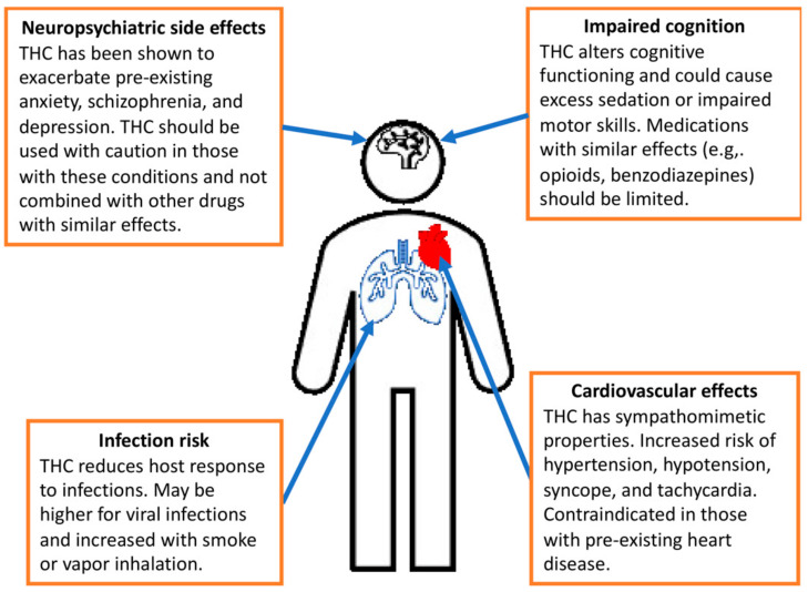 The primary adverse effects of tetrahydrocannabinol (THC) [99].