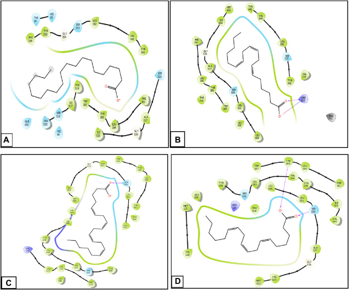 Two-dimensional view of ligands in active sites. (A) Arachidic acid interactions in the active sites of COX-1. (B and D) γ -Linolenic acid interactions in the active sites of COX-1 and COX-2. (C) Arachidonic acid interactions in the active sites of COX-2.