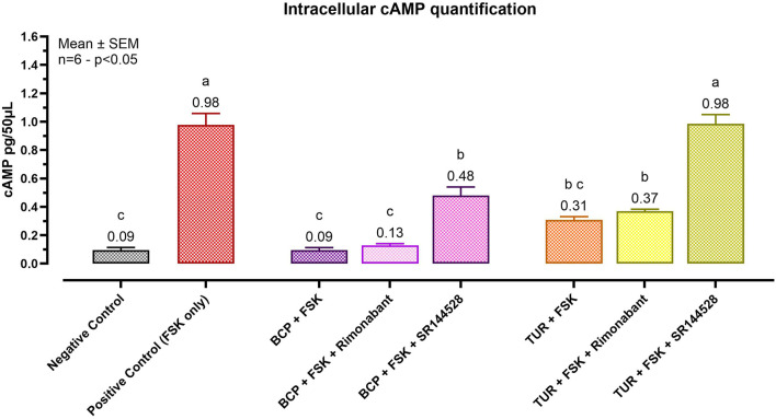 Effect of Turmeric Oleoresin on intracellular cAMP levels (pg/50 μL). All groups, except the negative control, were treated with 100 μM of 3-isobutyl-1-methylxanthine (IBMX) to inhibit cAMP degradation. Forskolin (FSK) at 0.1 μM was added for 10 min to induce cAMP production. Groups designated for antagonist treatment received 1 μM of either Rimonabant (CBR1 antagonist) or SR144528 (CBR2 antagonist) for 10 min before TUR (15 ppm) was added. Data are presented as mean ± SEM (n = 6) and analyzed using one-way ANOVA followed by Tukey’s multiple comparisons test (p < 0.05). Different letters indicate significant differences. BCP = β-caryophyllene; TUR = Turmeric oleoresin.