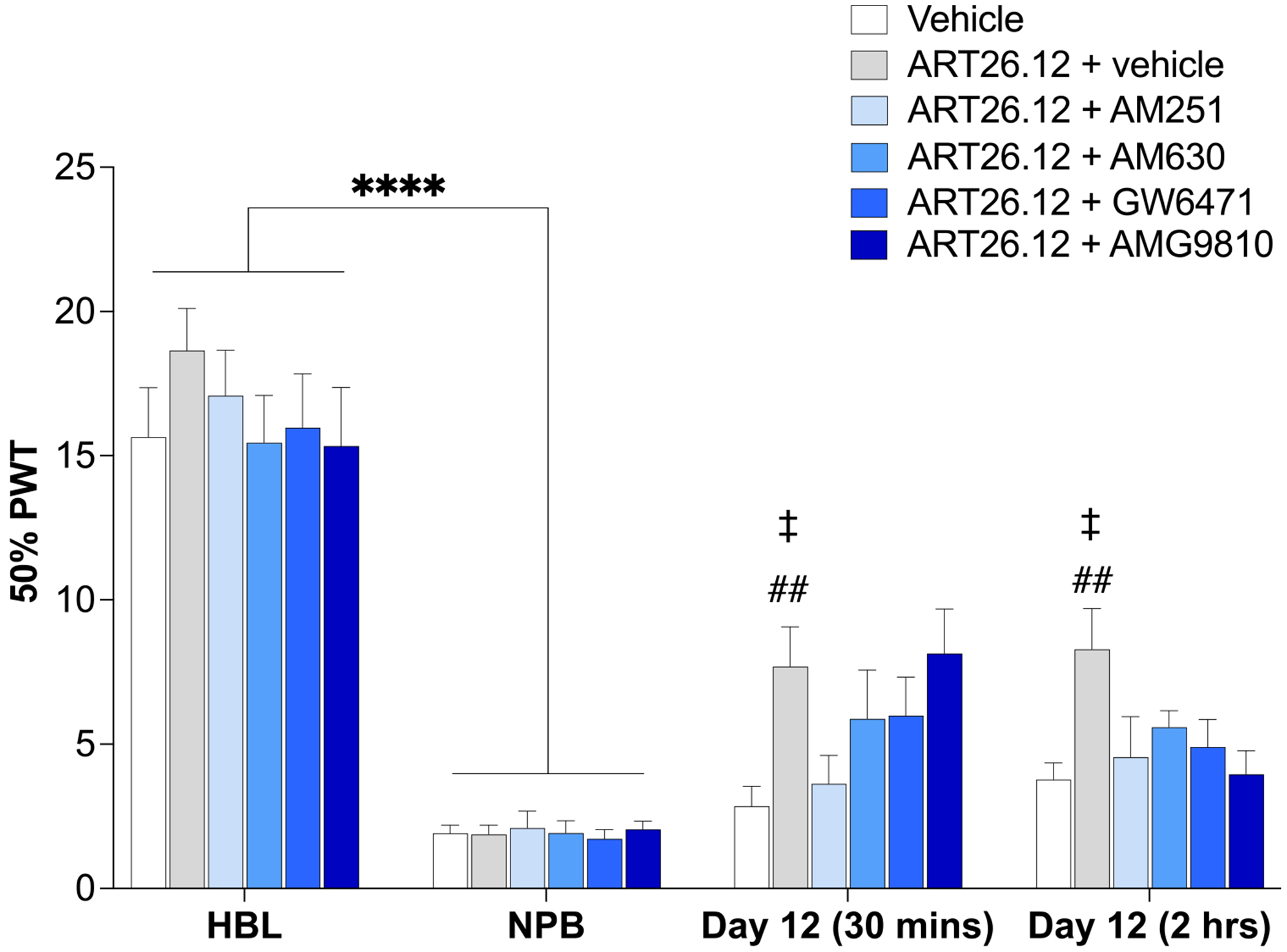The receptor mechanism of action underpinning acute ART26.12 analgesia in OIPN. OIPN was induced by a single IP dose of OXA on Day 0 with HBL and NPB measured on Days −1/−2 and Days 5/6, respectively. ART26.12 (100 mg/kg PO) was administered with and without various receptor antagonists (AM251 (CB1 antagonist), AM630 (CB2 antagonist), GW6471 (PPAR-alpha antagonist), and AMG9810 (TRPV1 antagonist), all administered 10 min before ART26.12. Vehicle, ART26.12 + AM251, and ART26.12 + AMG9810 n = 11, all other groups n = 12. ****P < .0001 when comparing between healthy baseline and a neuropathic baseline. ##P < .01 when comparing between vehicle and ART26.12 + vehicle. ‡P < .05 when comparing between ART26.12 + vehicle and ART26.12 + AM251. HBL, healthy baseline; IP, intraperitoneally; NPB, neuropathic baseline; OIPN, oxaliplatin-induced peripheral neuropathy; OXA, oxaliplatin; PO, orally; PWT, paw withdrawal threshold.