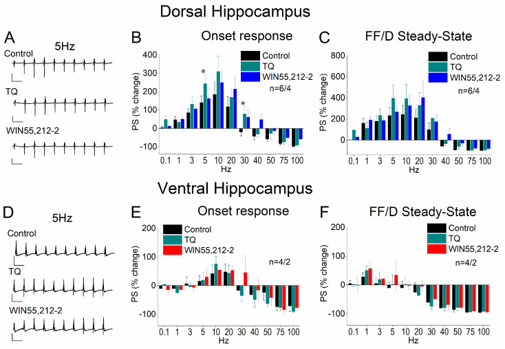 Effects of Tertiapin-Q (TQ, 50 nM) application and subsequent WIN55,212 (10 μM) application on STND in the dorsal (A–C) and ventral (D–F) hippocampus. (A,B) Representative example traces of PSs obtained under the three pharmacological conditions at 5 Hz. Calibration bars: 1 mV; 200 ms. The drug effects are shown for the onset response (C,D) and the steady-state response (E,F), in the two segments of the hippocampus. Asterisks denote statistically significant effect of the drug at p < 0.05. The number of slices/animals is stated into graphs.