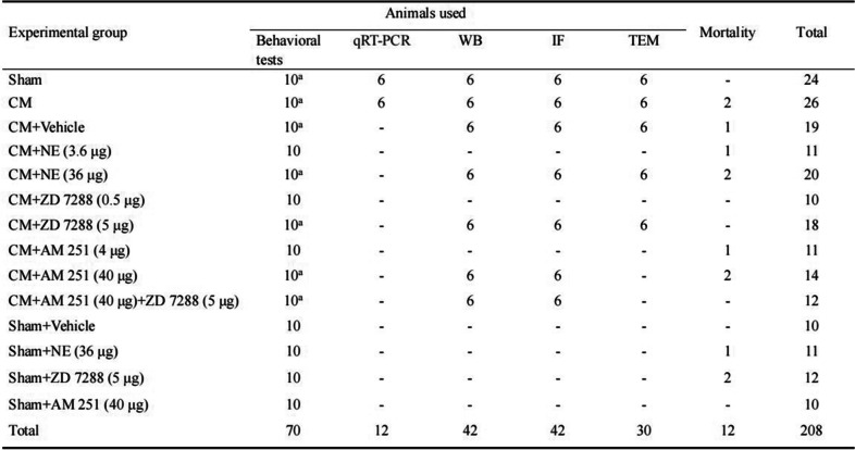 Animal numbers in each group