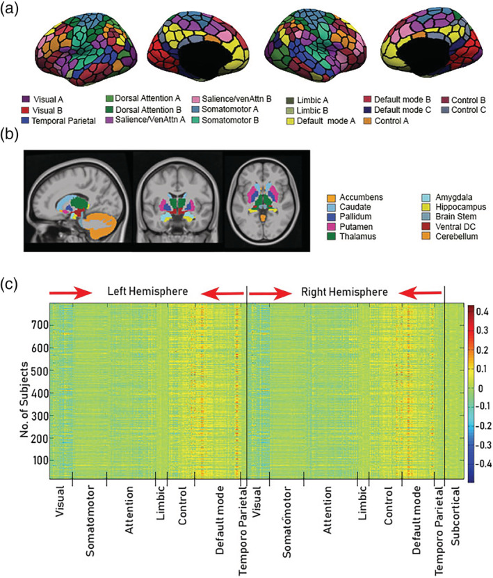 Spatial distribution of common common orthogonal basis extraction (COBE) component (C = 1) across the cortical and subcortical areas. (a) 400 cortical parcels (Schaefer et al., 2018). Parcel colors correspond to 17 large‐scale‐networks (Yeo et al., 2011). The 17 networks are a subdivision of seven networks (temporal parietal, default mode, control, limbic, attention, somato‐motor, and visual). (b) Nineteen subcortical ROIs (Fischl et al., 2002). (c) Spatial distribution of weights of the first common COBE component of 788 subjects across the 7 networks (in both hemispheres) and 19 subcortical areas. Most subjects show higher weights in the default mode network areas, though in few subjects the distribution of weight is different